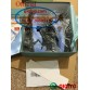 qiqiyg.com fournisseur officiel de mode en gros 2025 dropshipping qq3072